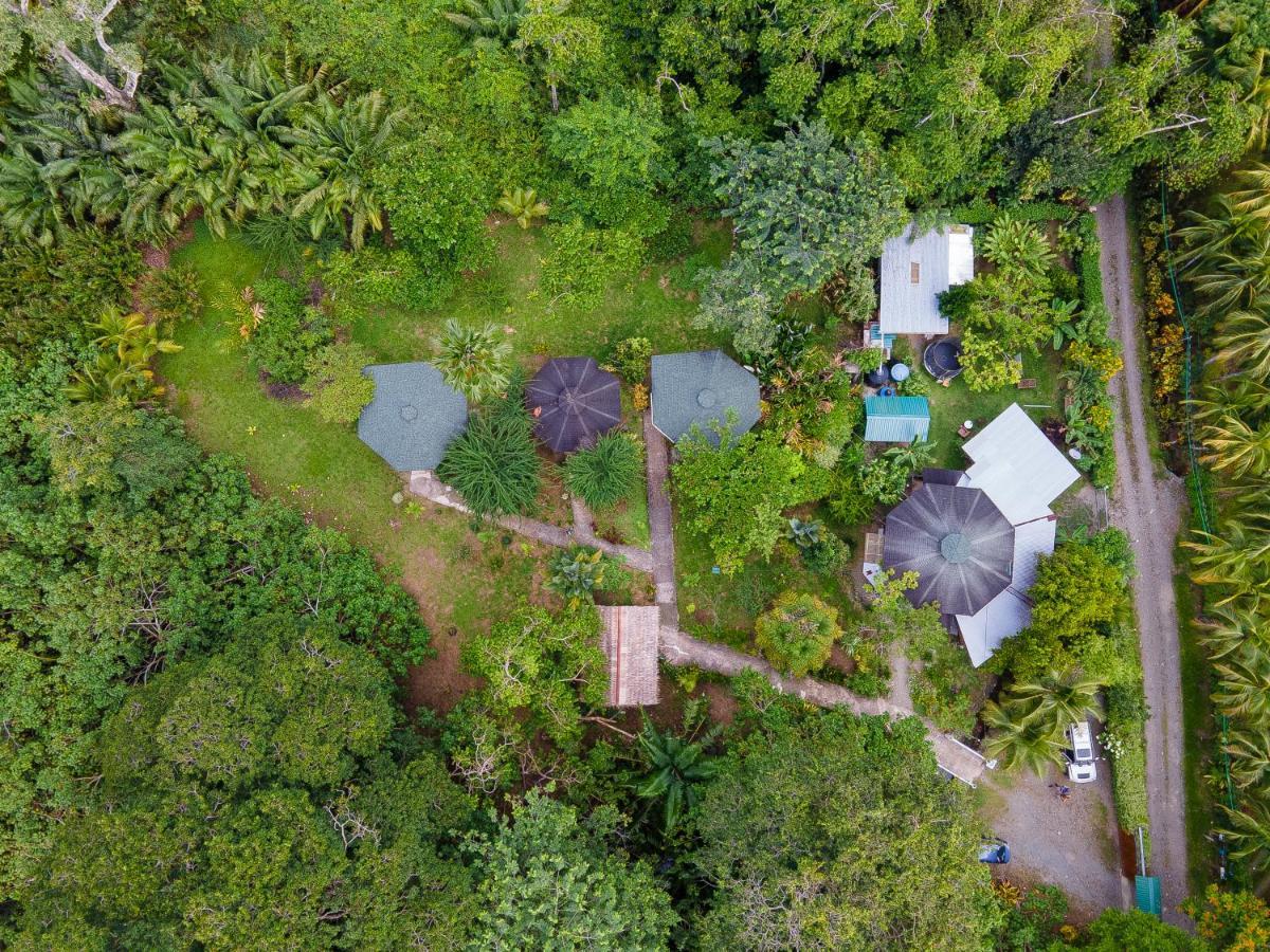 Bungalows Aché Cahuita Exterior foto