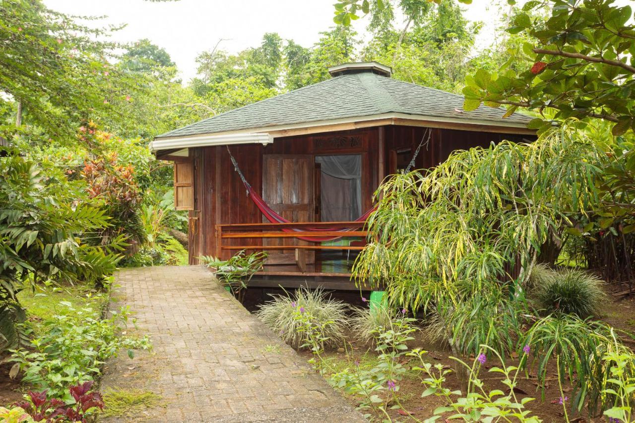 Bungalows Aché Cahuita Exterior foto