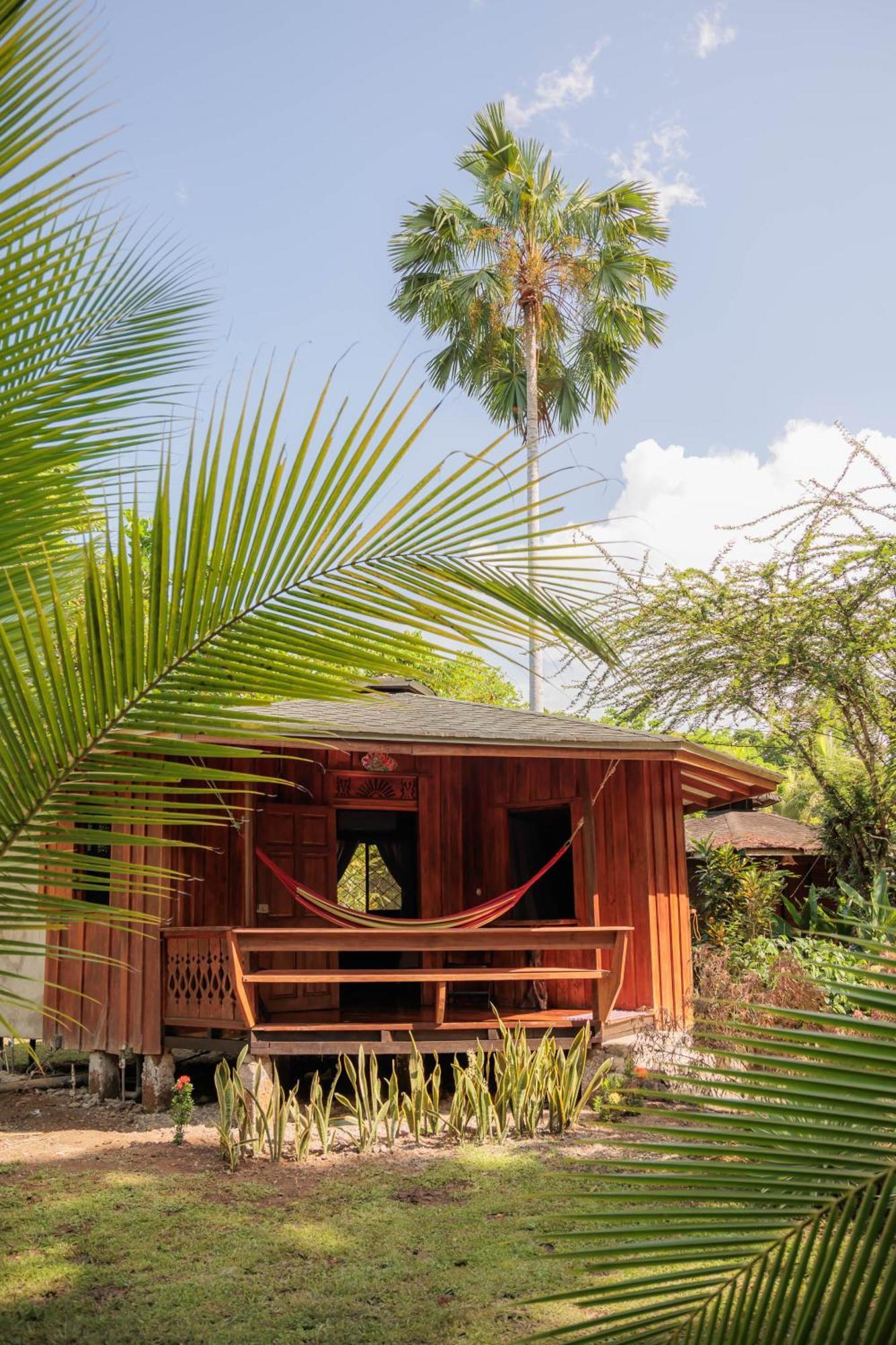 Bungalows Aché Cahuita Exterior foto
